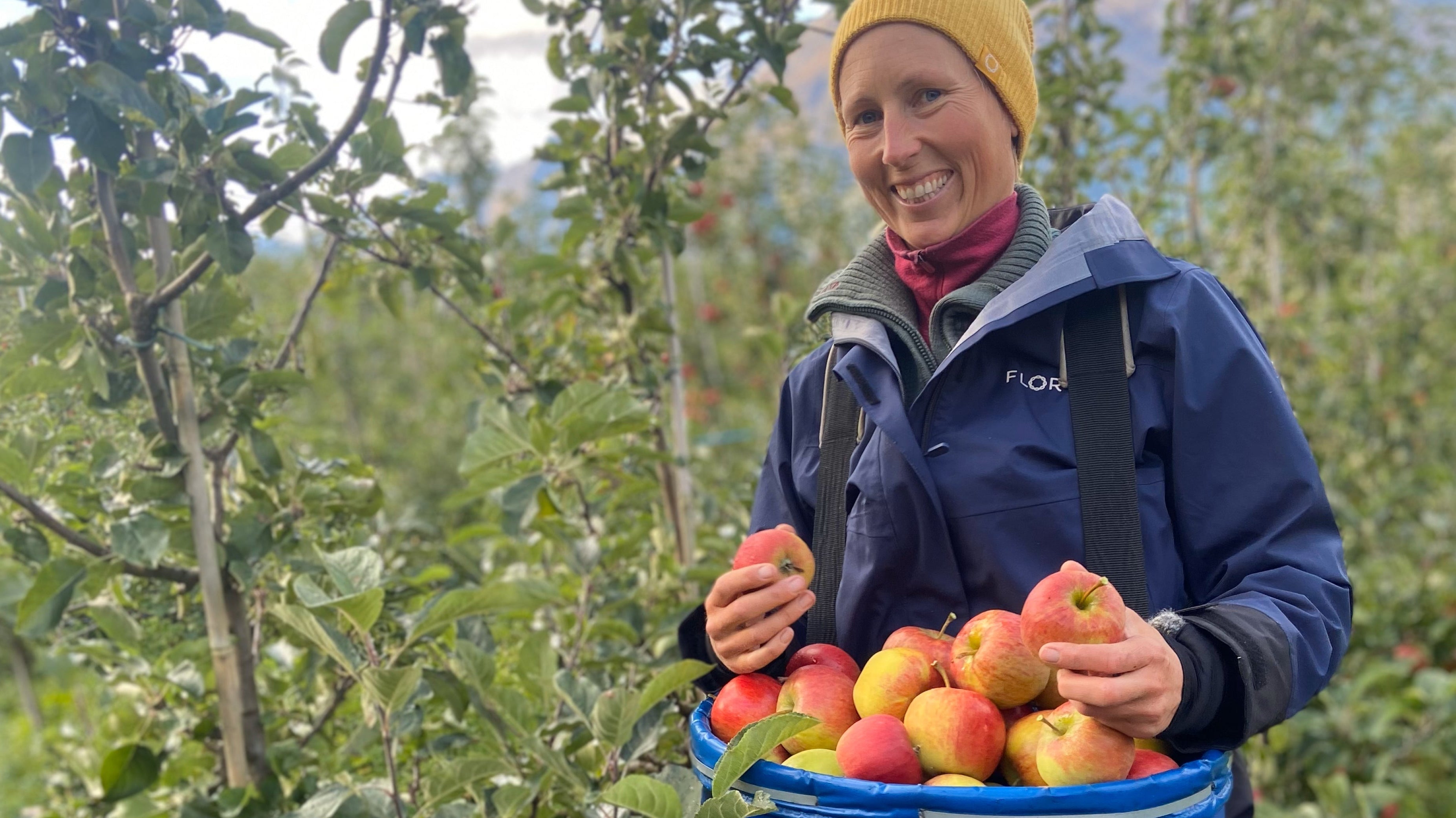 Siderdronningen i Hardanger! 🍎👑