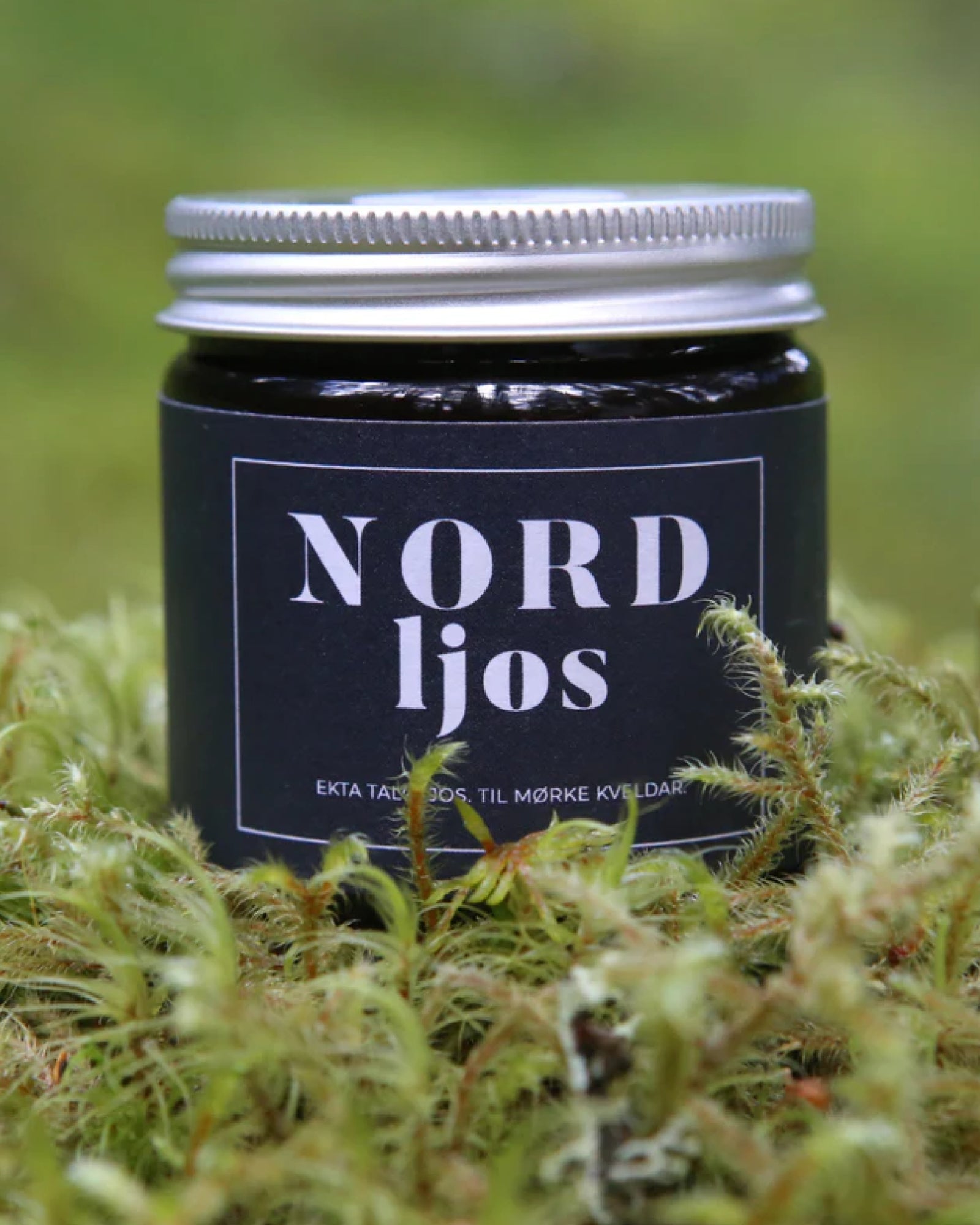 Symre talglys - Nordljos - Tilbehør - | Flor - 2
