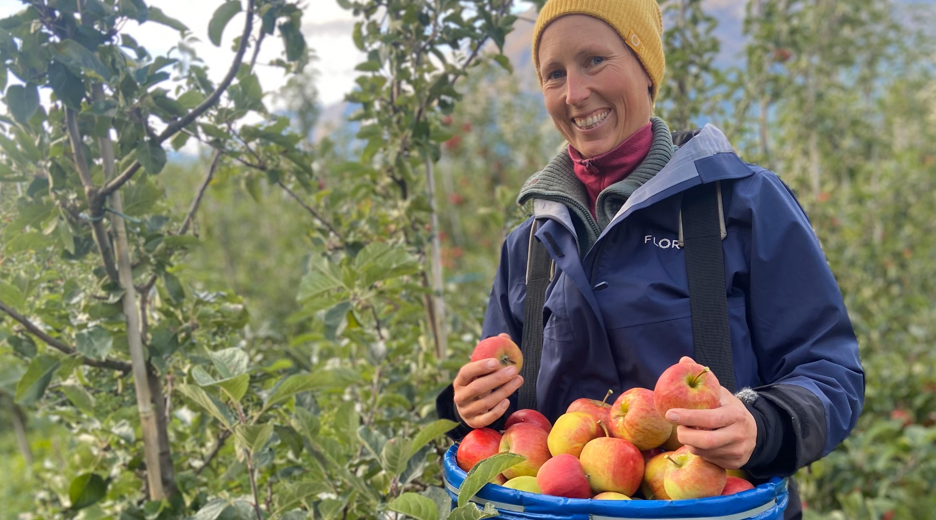 Siderdronningen i Hardanger! 🍎👑 - Flor