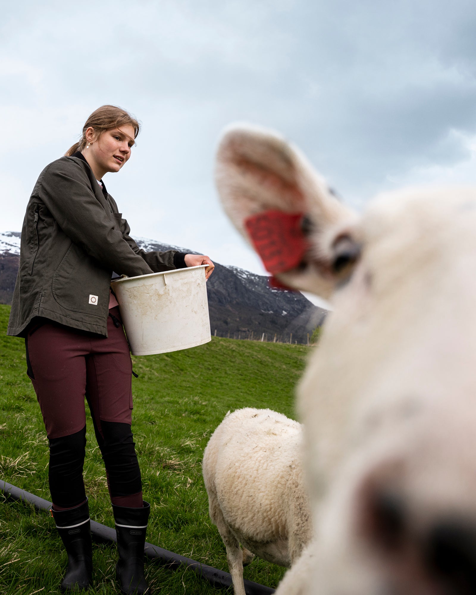 Sørvest bomullsjakke - Jakke - Mørk oliven | Flor - 12