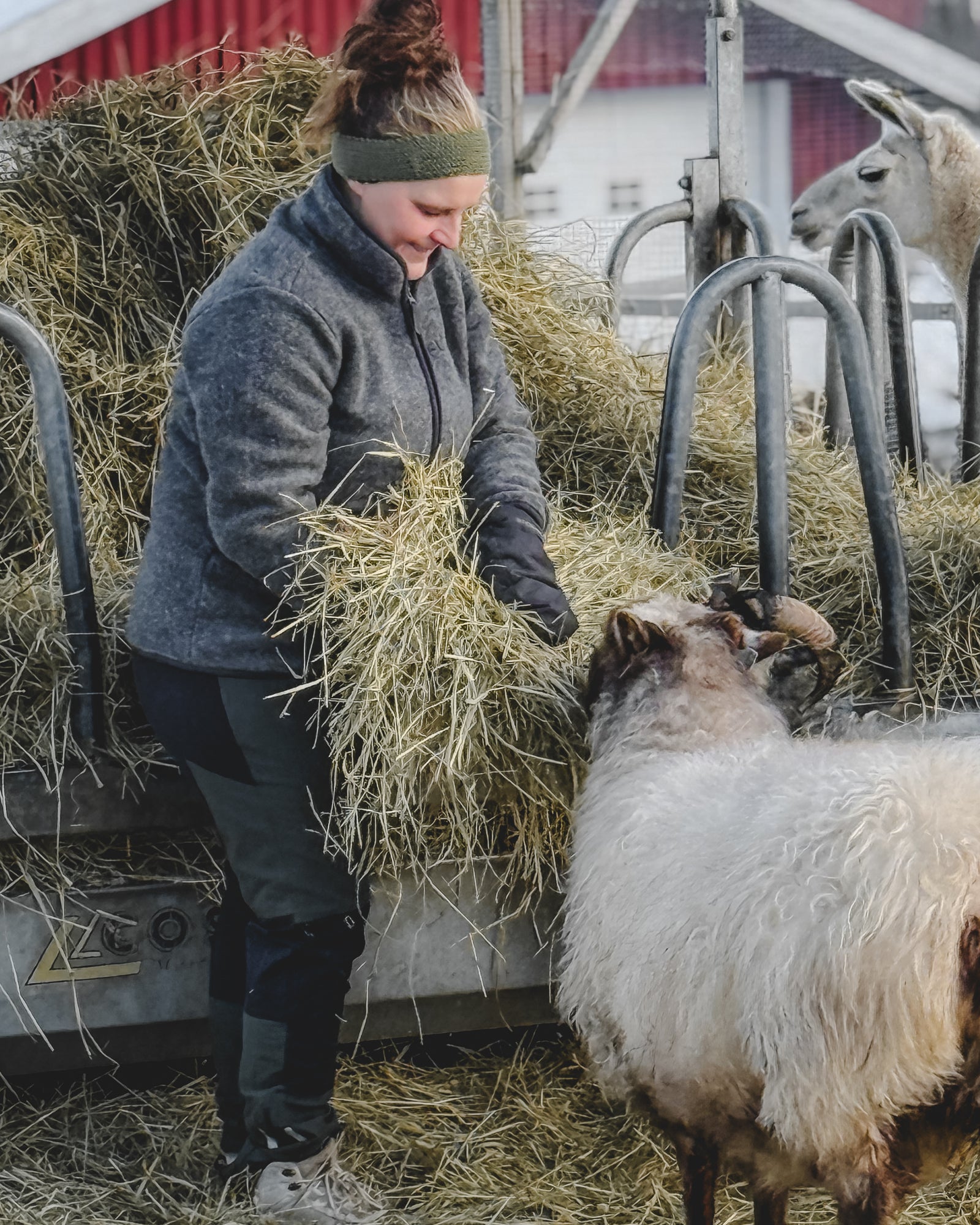 Ullfleece - Wool - Mørk grå | Flor - 7